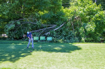 Brightway Golf 2026-276
